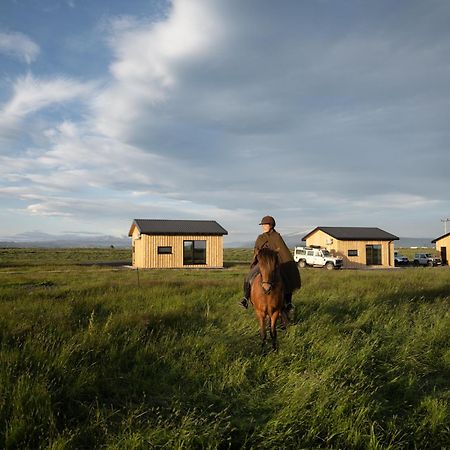 Apartament Sleeping With The Horses Hvolsvöllur Zewnętrze zdjęcie