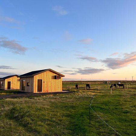 Apartament Sleeping With The Horses Hvolsvöllur Zewnętrze zdjęcie
