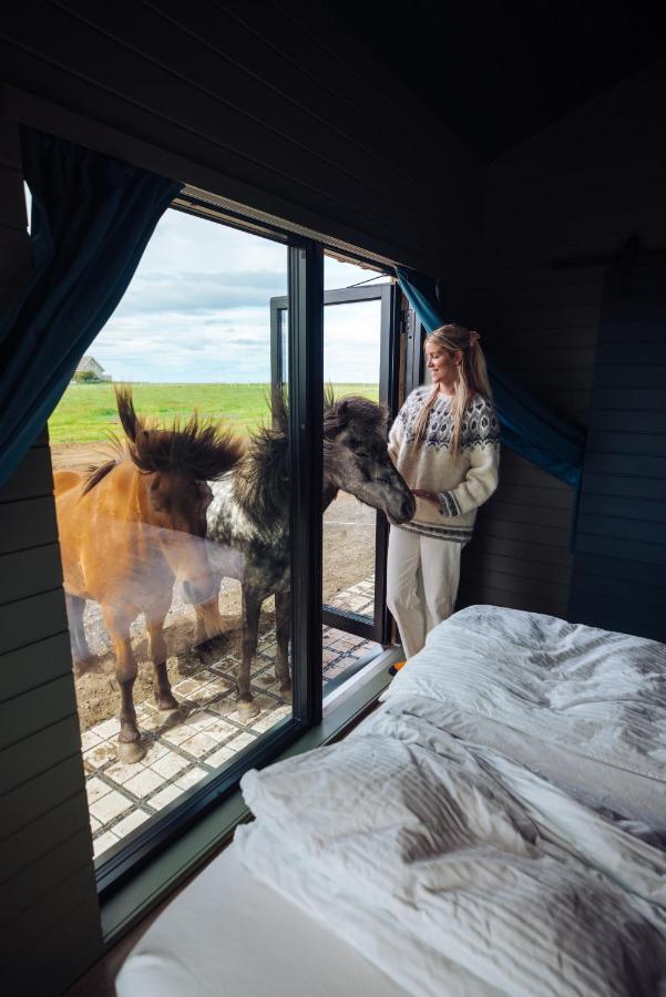 Apartament Sleeping With The Horses Hvolsvöllur Zewnętrze zdjęcie