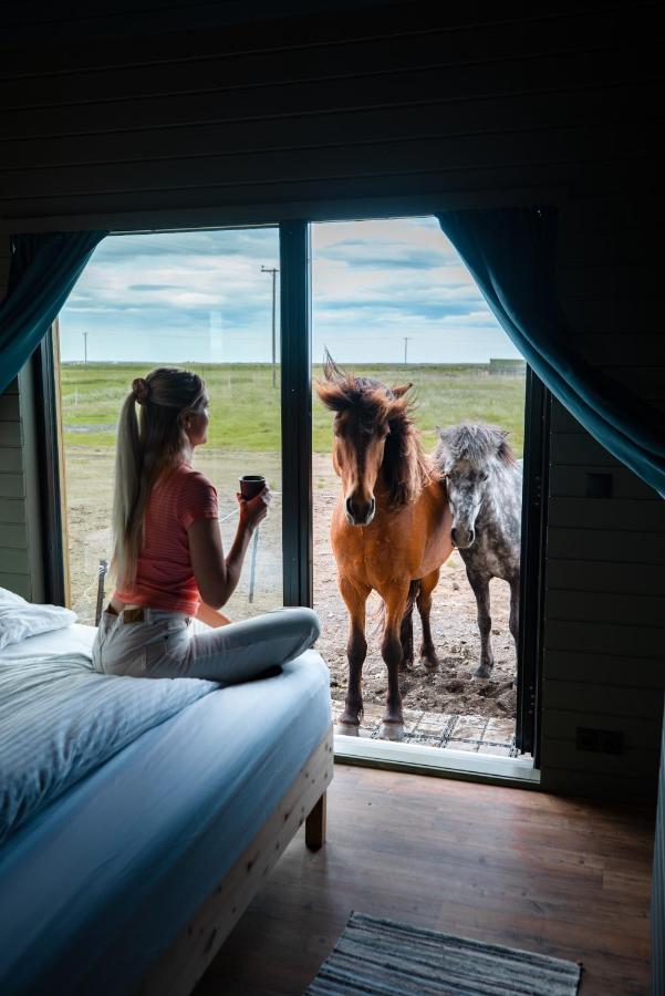 Apartament Sleeping With The Horses Hvolsvöllur Zewnętrze zdjęcie