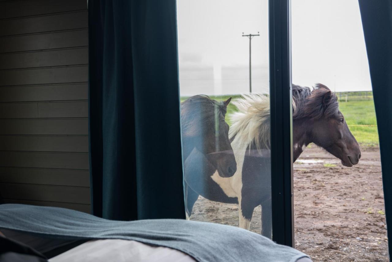 Apartament Sleeping With The Horses Hvolsvöllur Zewnętrze zdjęcie