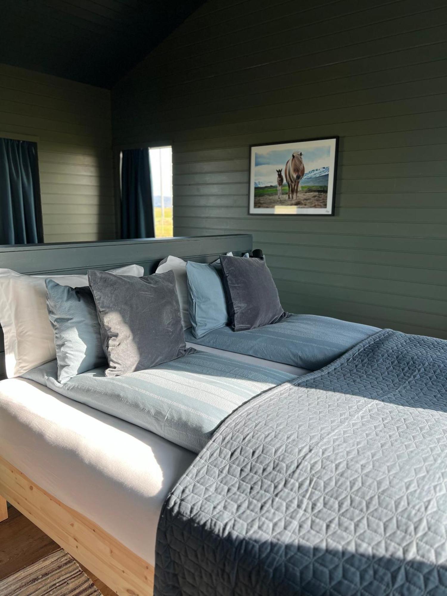 Apartament Sleeping With The Horses Hvolsvöllur Zewnętrze zdjęcie