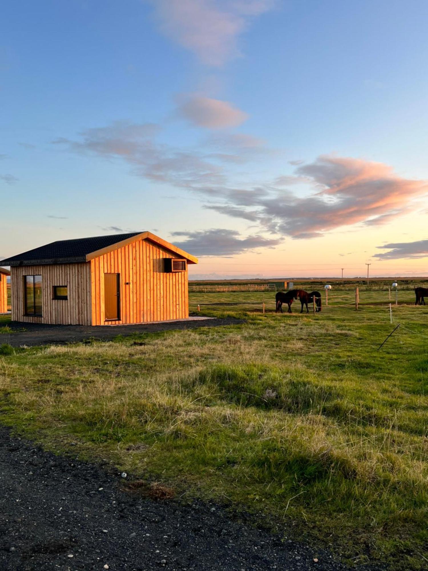 Apartament Sleeping With The Horses Hvolsvöllur Zewnętrze zdjęcie