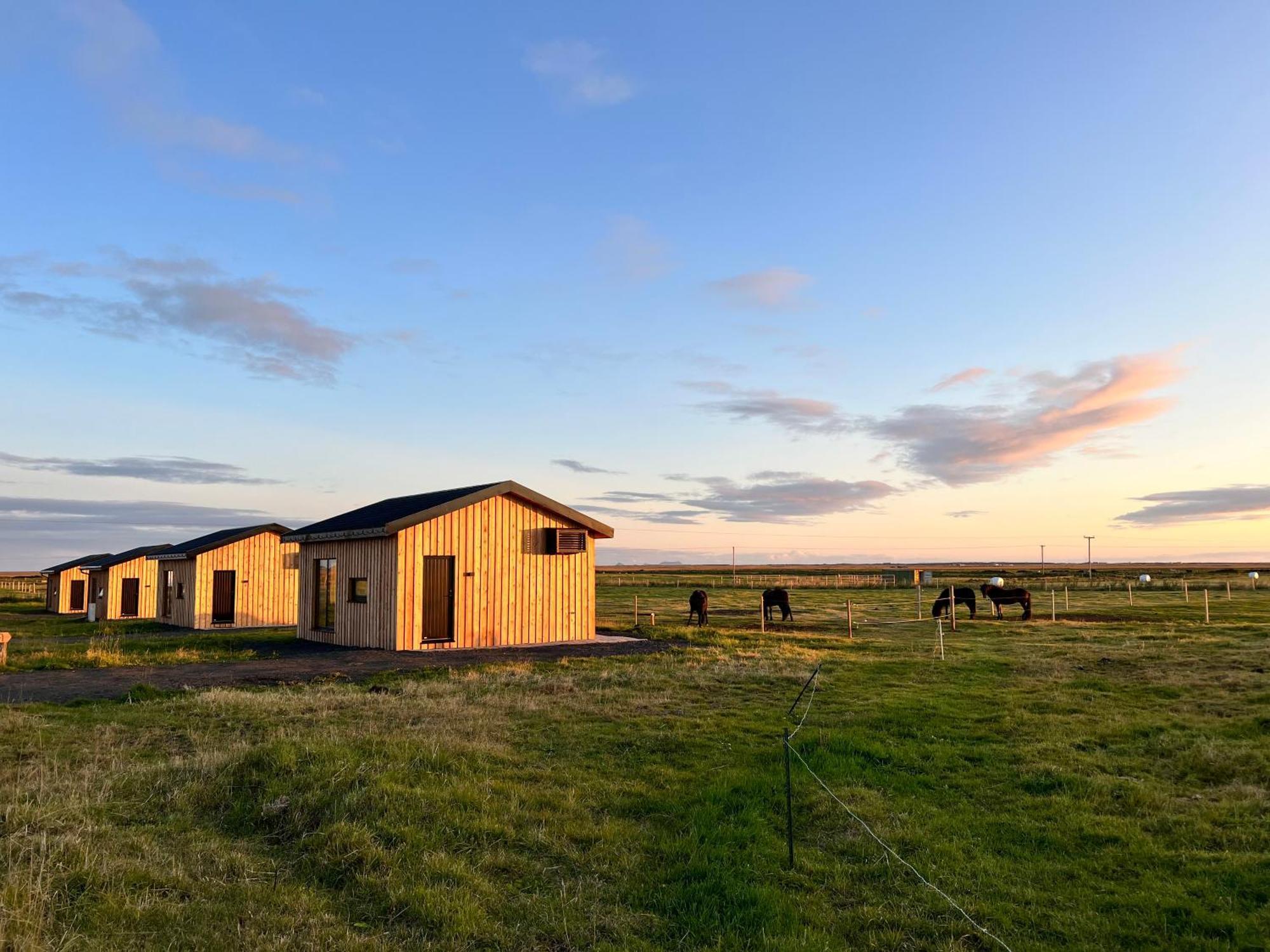 Apartament Sleeping With The Horses Hvolsvöllur Zewnętrze zdjęcie