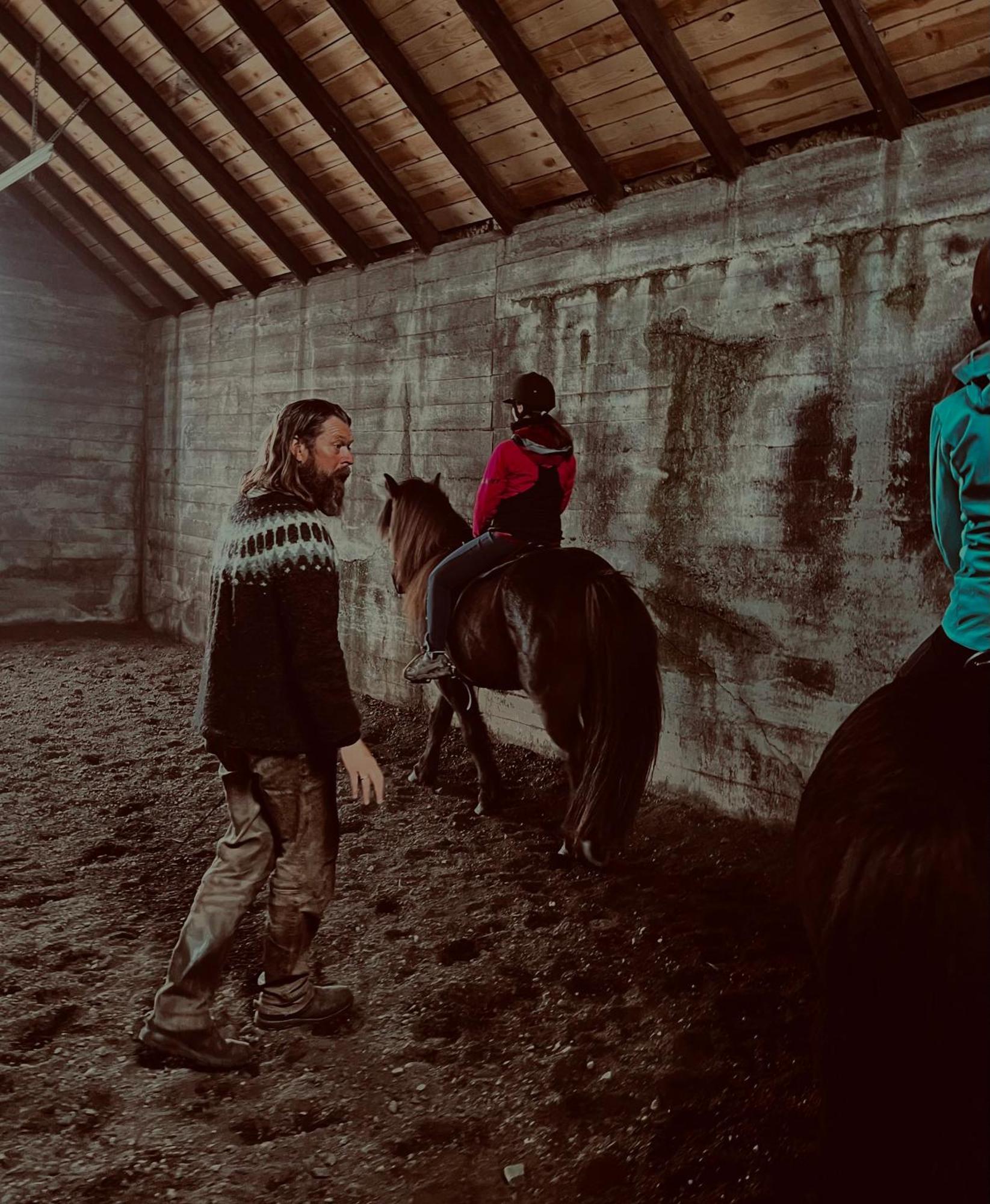 Apartament Sleeping With The Horses Hvolsvöllur Zewnętrze zdjęcie